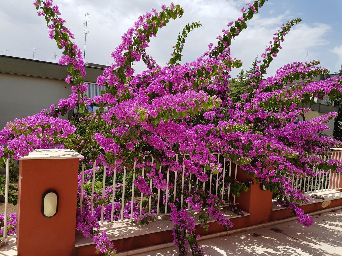 Dimora D'Amato Bed & Breakfast Grumo Appula Exterior foto